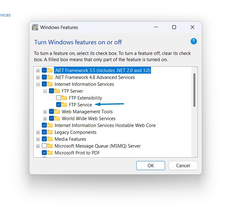 Enable FTP Publishing on a Web Server in Windows 11 6 Enable FTP Service in Windows 11