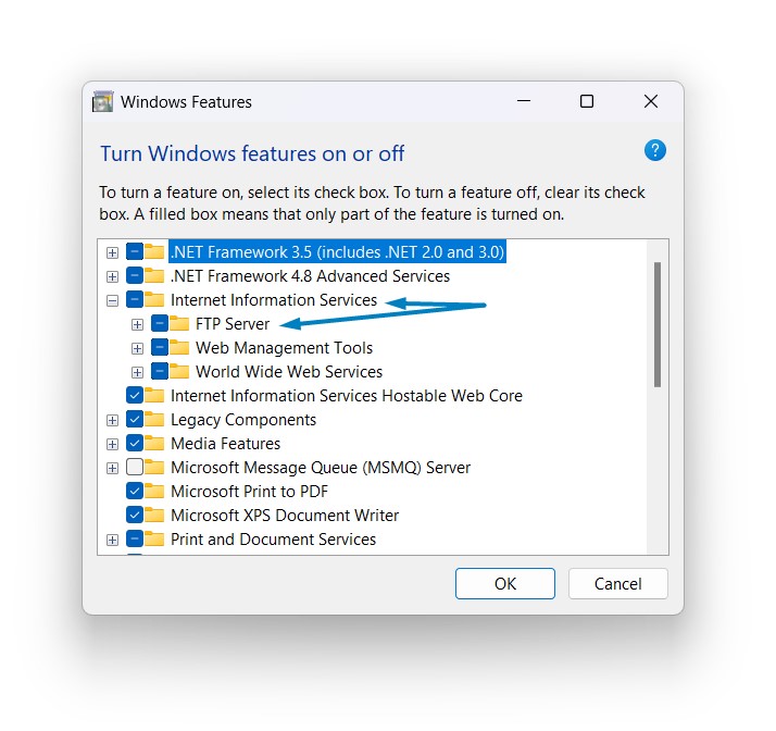 Enable FTP Publishing on a Web Server in Windows 11 5 IIS Components Windows 11