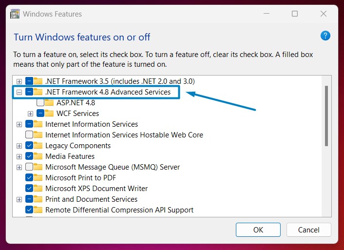 How to Enable Message Queuing (MSMQ) Activation in Windows 11? 2 DOT NET 4.8 Advanced Services