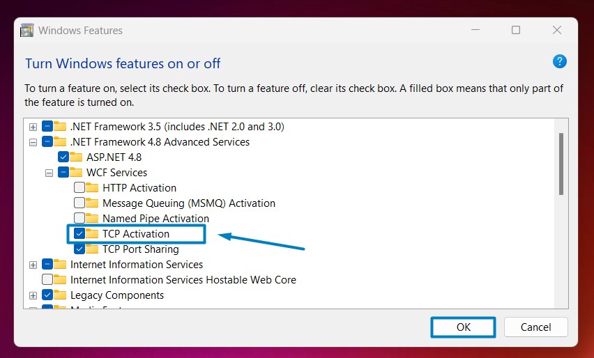 How to Enable TCP Activation in Windows 11? 6 Enable TCP Activation in Windows 11