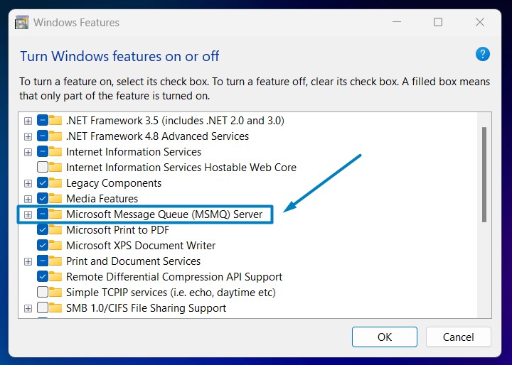 Enable MSMQ DCOM Proxy in Windows 11 2 Expand MSMQ Node