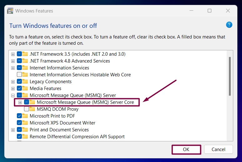 Expand MSMQ Server Core Node Expand MSMQ Server Core Node