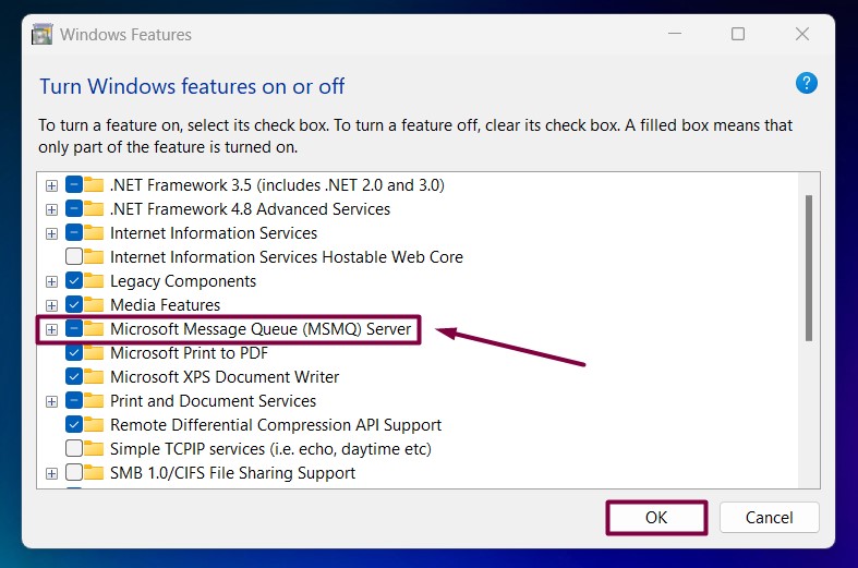 Expand MSMQ Server Node Expand MSMQ Server Node