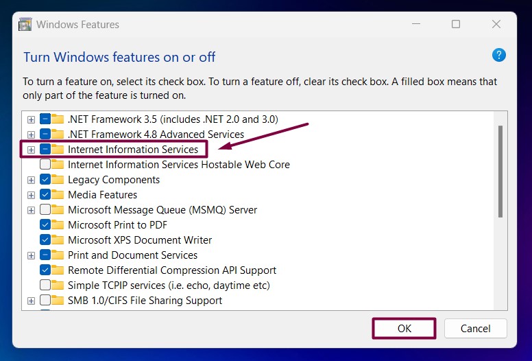 Internet Information Services in Windows 11 Internet Information Services in Windows 11