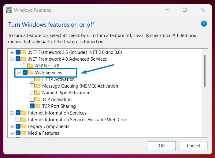 How to Enable Message Queuing (MSMQ) Activation in Windows 11? 3 WCF Services