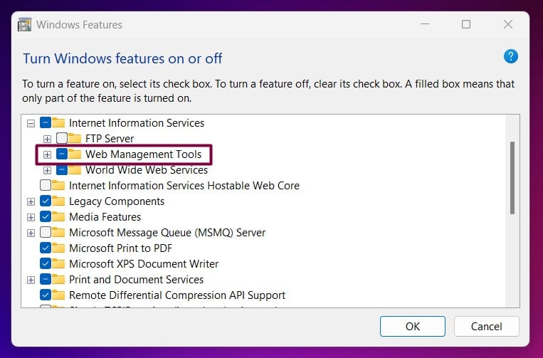 Enable IIS 6 Scripting Tools in Windows 11 3 Web Management Tools