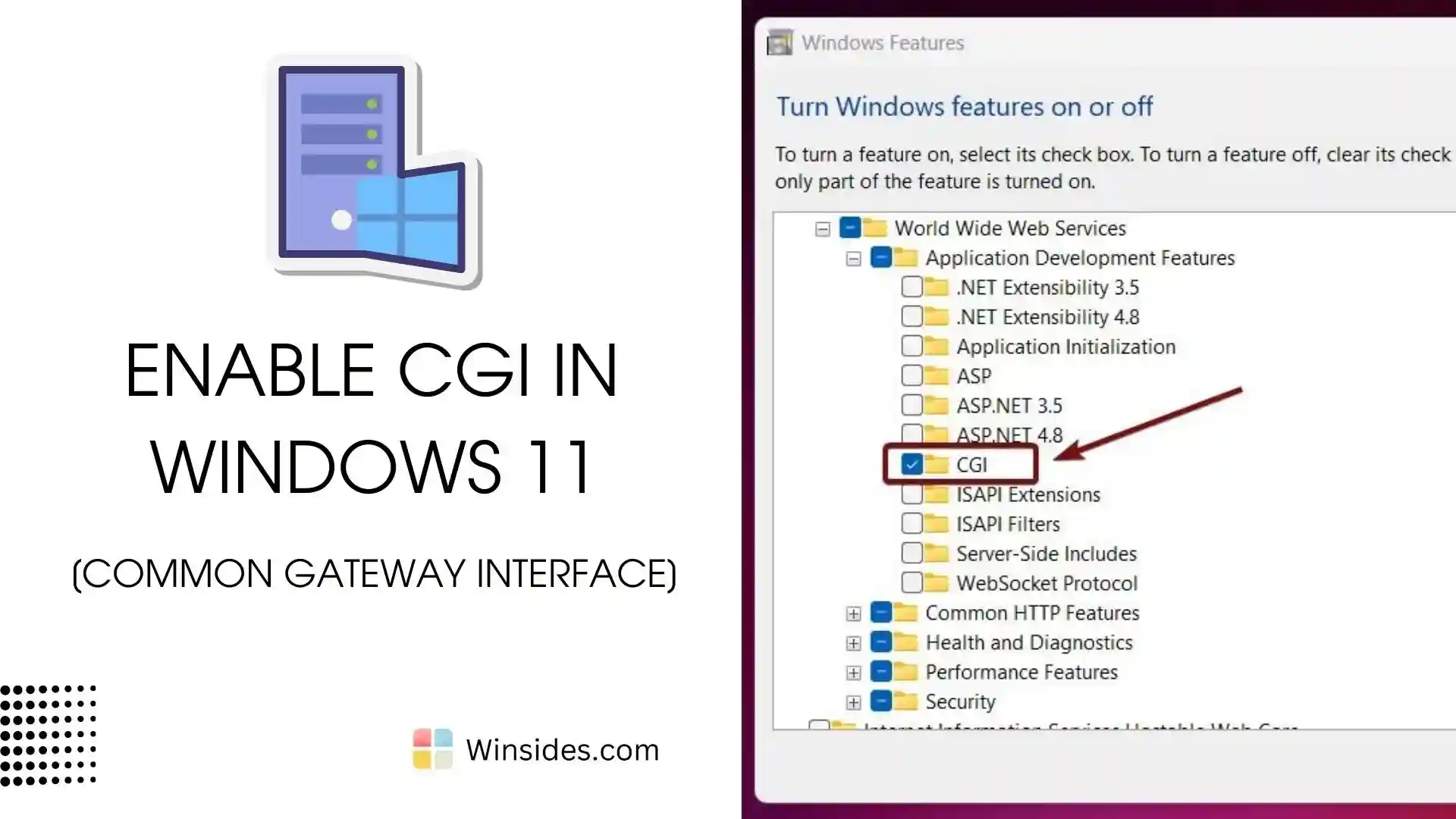 Enable CGI in Windows 11 1