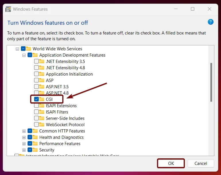 How to Enable CGI in Windows 11? 6 Enable CGI in Windows 11