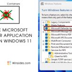 MDAG in Windows 11