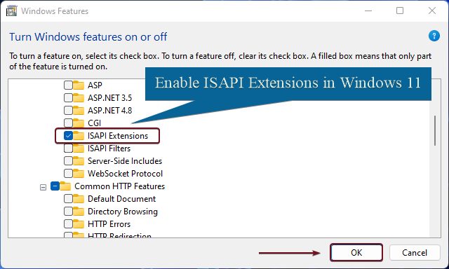 Enable ISAPI Extensions in Windows 11 Enable ISAPI Extensions in Windows 11