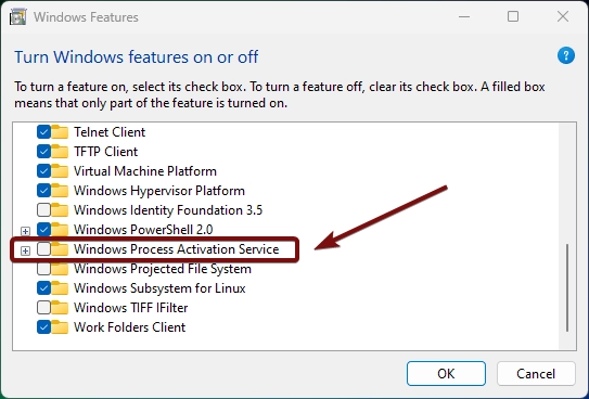 Expand WAS Node Expand Windows Process Activation Service