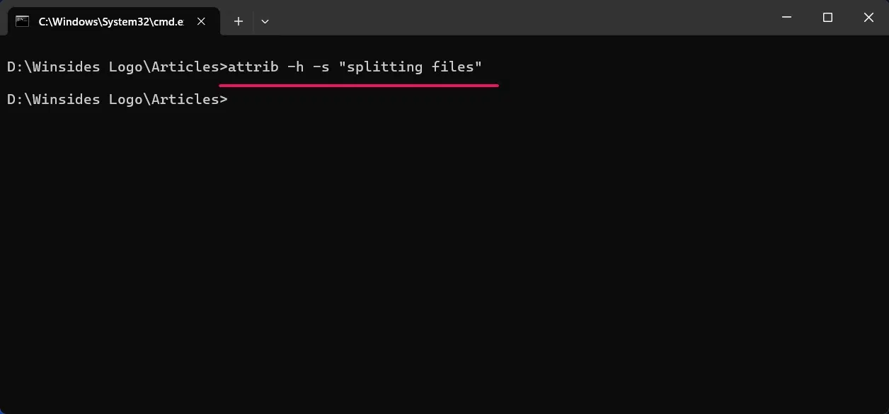 Executing Command to unhide directory Executing Command to unhide directory