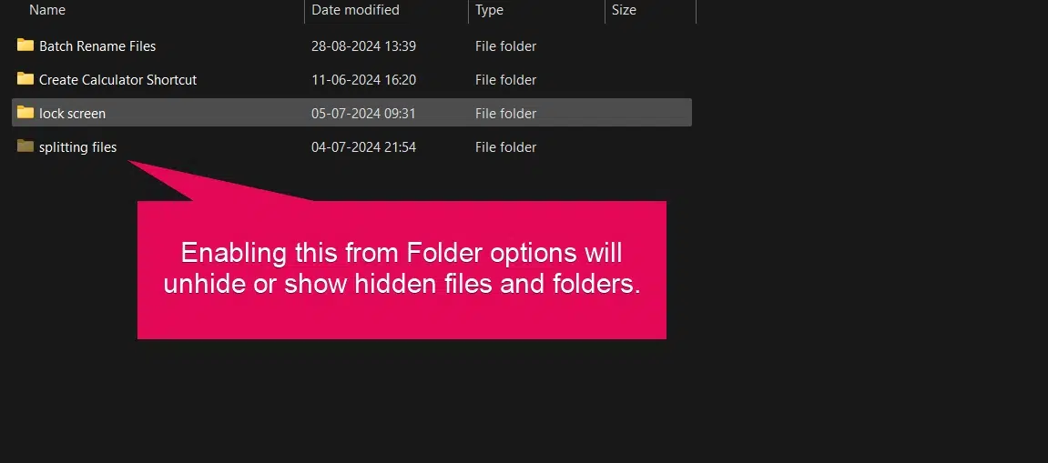 Enabling this will show hidden files, folders & drivers. Enabling this will show hidden files, folders & drivers.