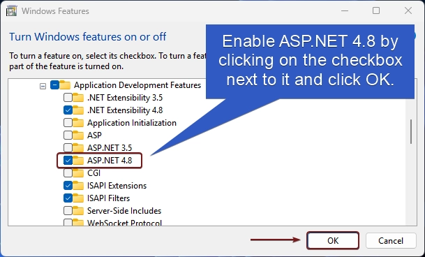 Enable ASP.NET 4.8 for IIS in Windows 11 Enable ASP.NET 4.8 for IIS in Windows 11