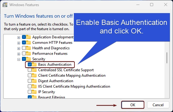 Enable Basic Authentication in Windows 11 Enable Basic Authentication in Windows 11