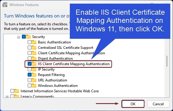 Enable IIS Client Certificate Mapping Authentication on Windows 11 Enable IIS Client Certificate Mapping Authentication on Windows 11