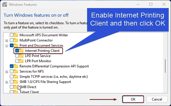Enable Internet Printing Client Enable Internet Printing Client on Windows 11