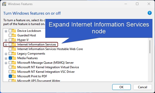 Expand IIS Tree Expand IIS Tree