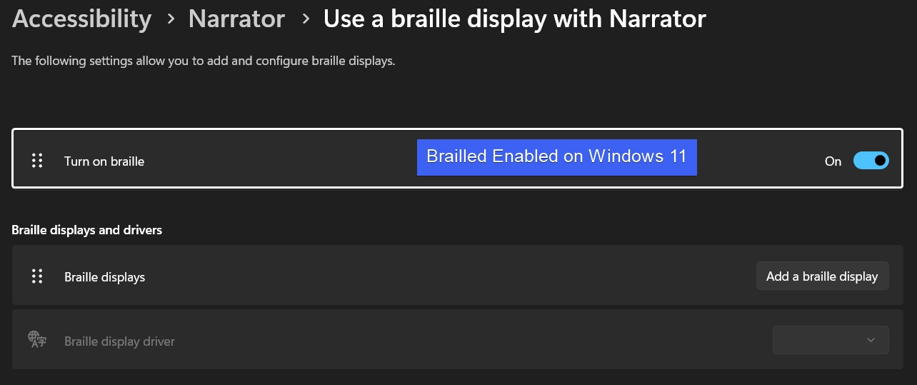 Braille Enabled on Windows 11 Braille Enabled on Windows 11
