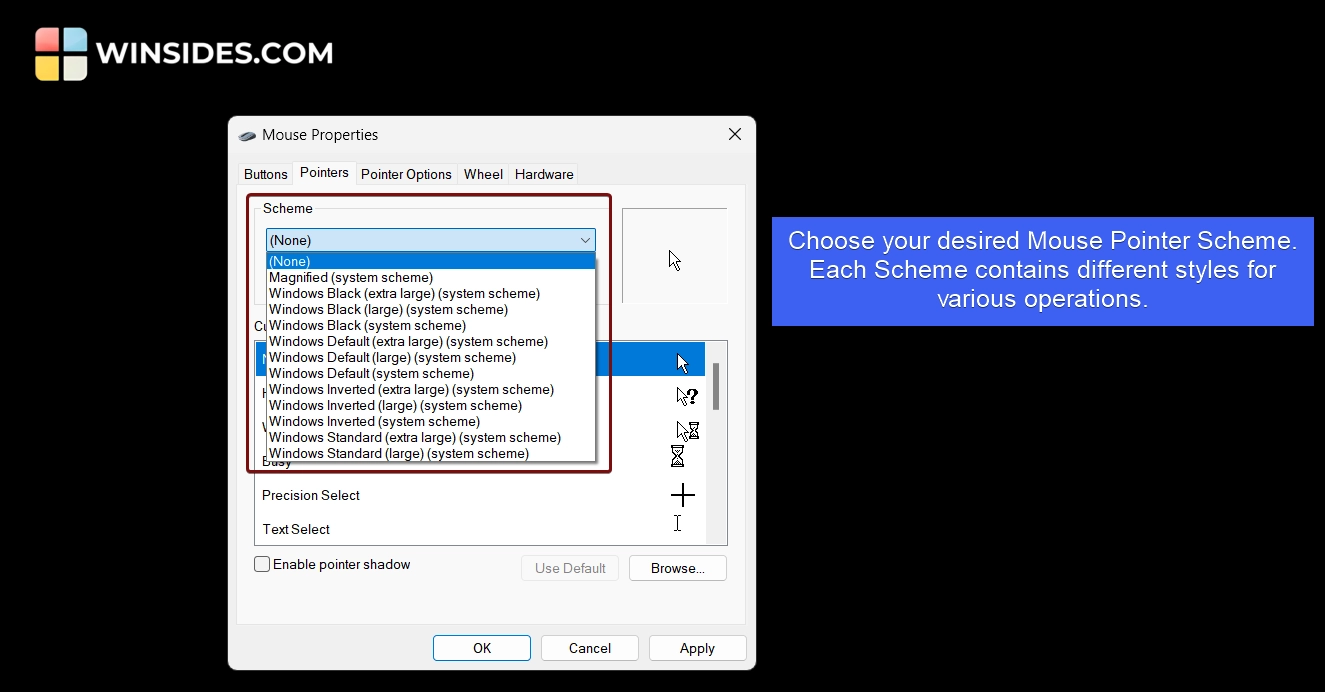 Choose your desired Mouse Pointer Scheme Choose your desired Mouse Pointer Scheme
