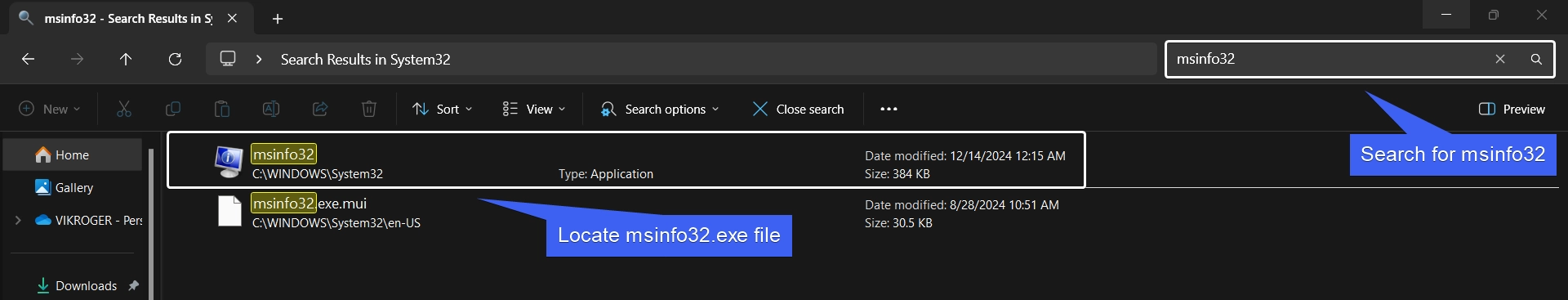 Search for msinfo32 Search for msinfo32