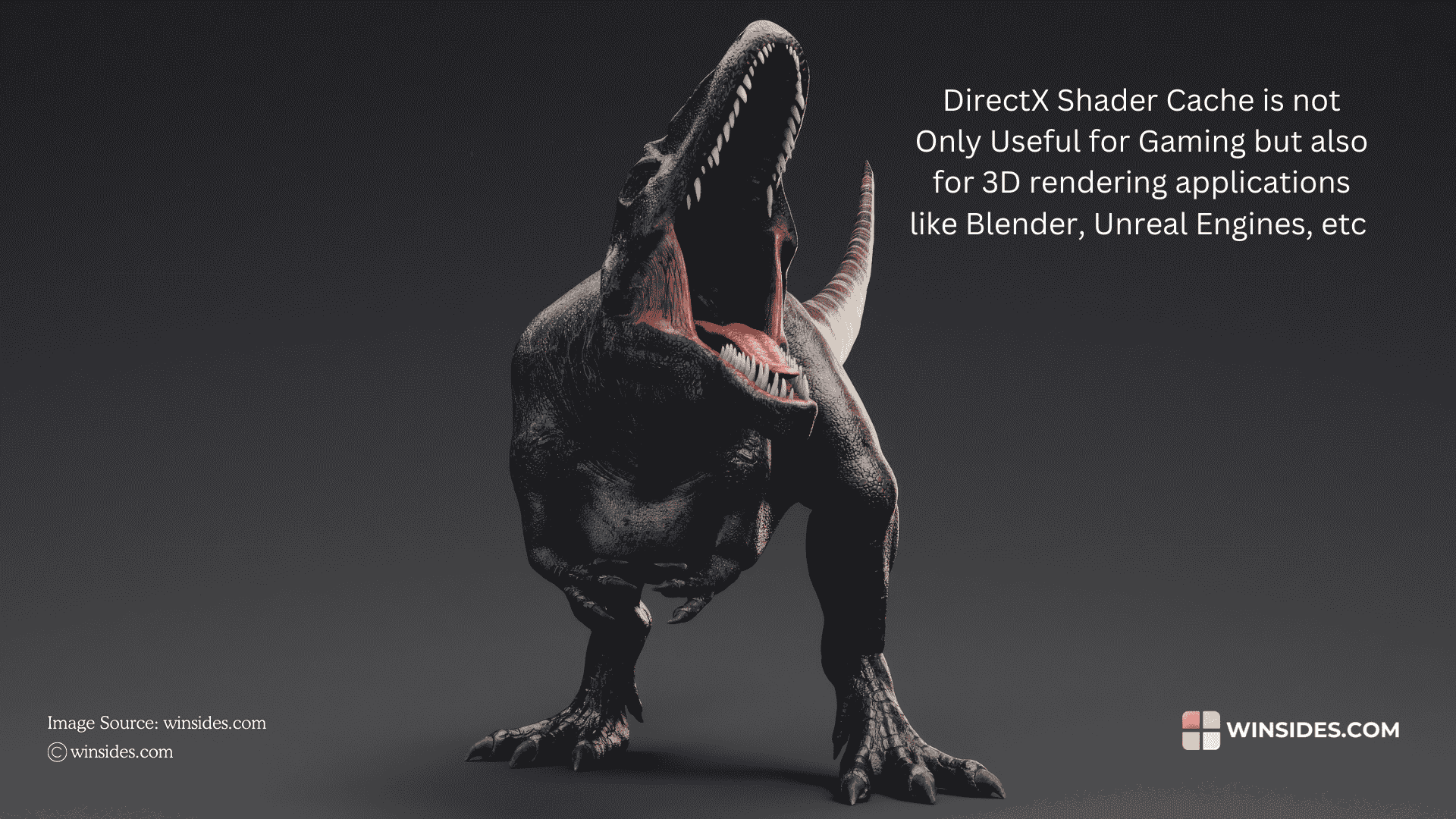 DirectX Shader Cache on 3d Rendering Software DirectX Shader Cache on 3d Rendering Software