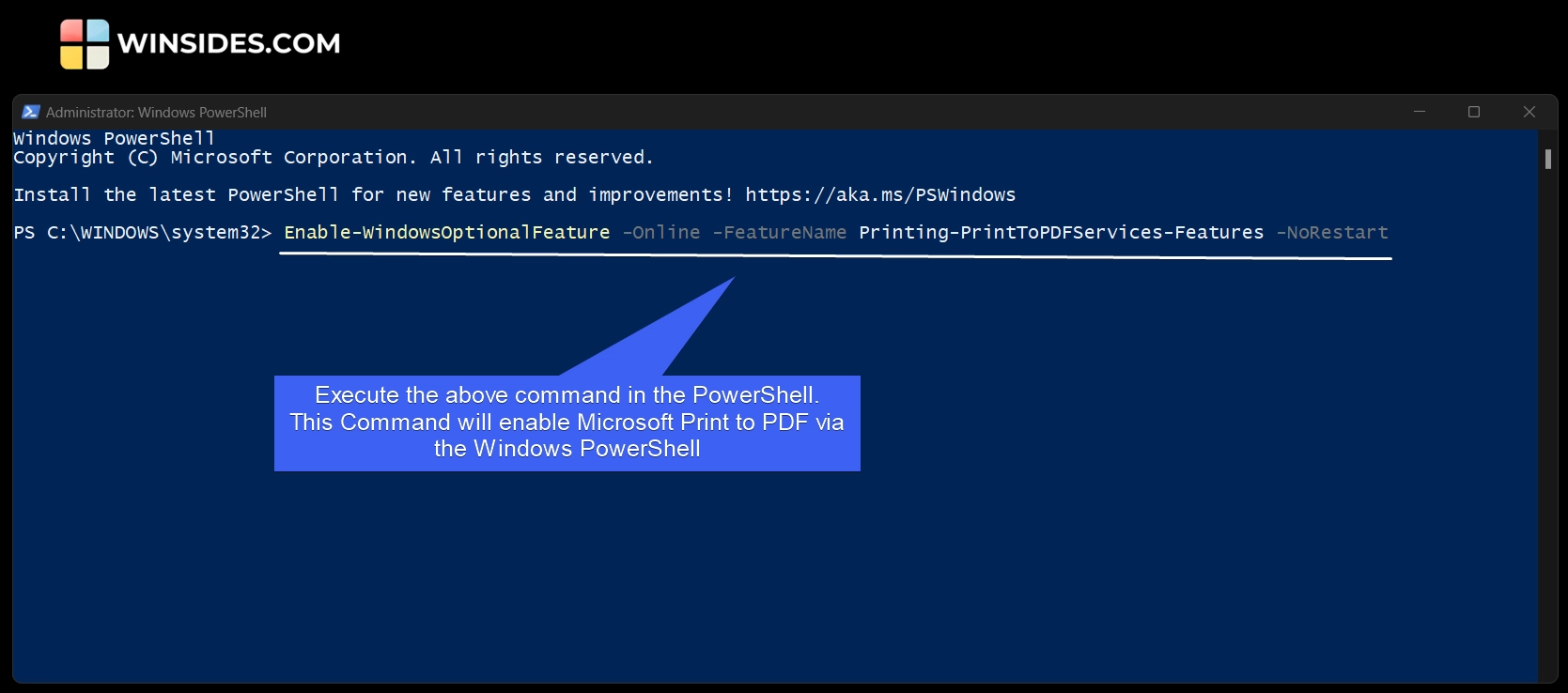 Execute the Print to PDF Enable Command in the PowerShell Execute the Print to PDF Enable Command in the PowerShell