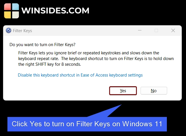 Do you want to turn on filter keys on Windows 11 Do you want to turn on filter keys on Windows 11