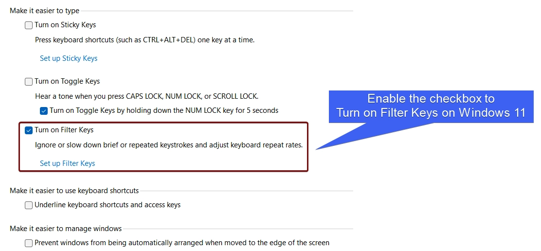 Enable the checkbox to activate Filter Keys on Windows 11 Enable the checkbox to activate Filter Keys on Windows 11