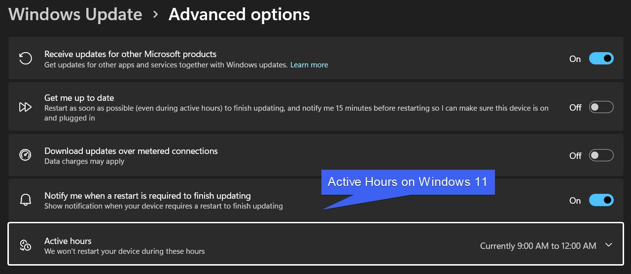 Active Hours on Windows 11 Active Hours on Windows 11