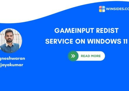 What is GameInput Redist Service on Windows 11?