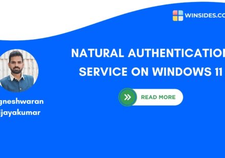 Natural Authentication Service on Windows 11 Explained